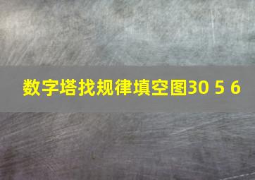 数字塔找规律填空图30 5 6